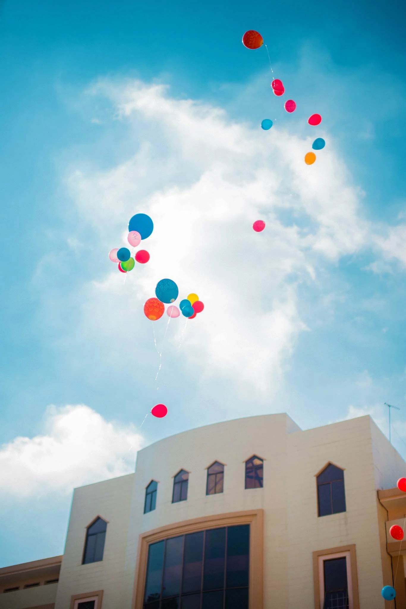 Bóng bay bay lên từ sân trường, 2013